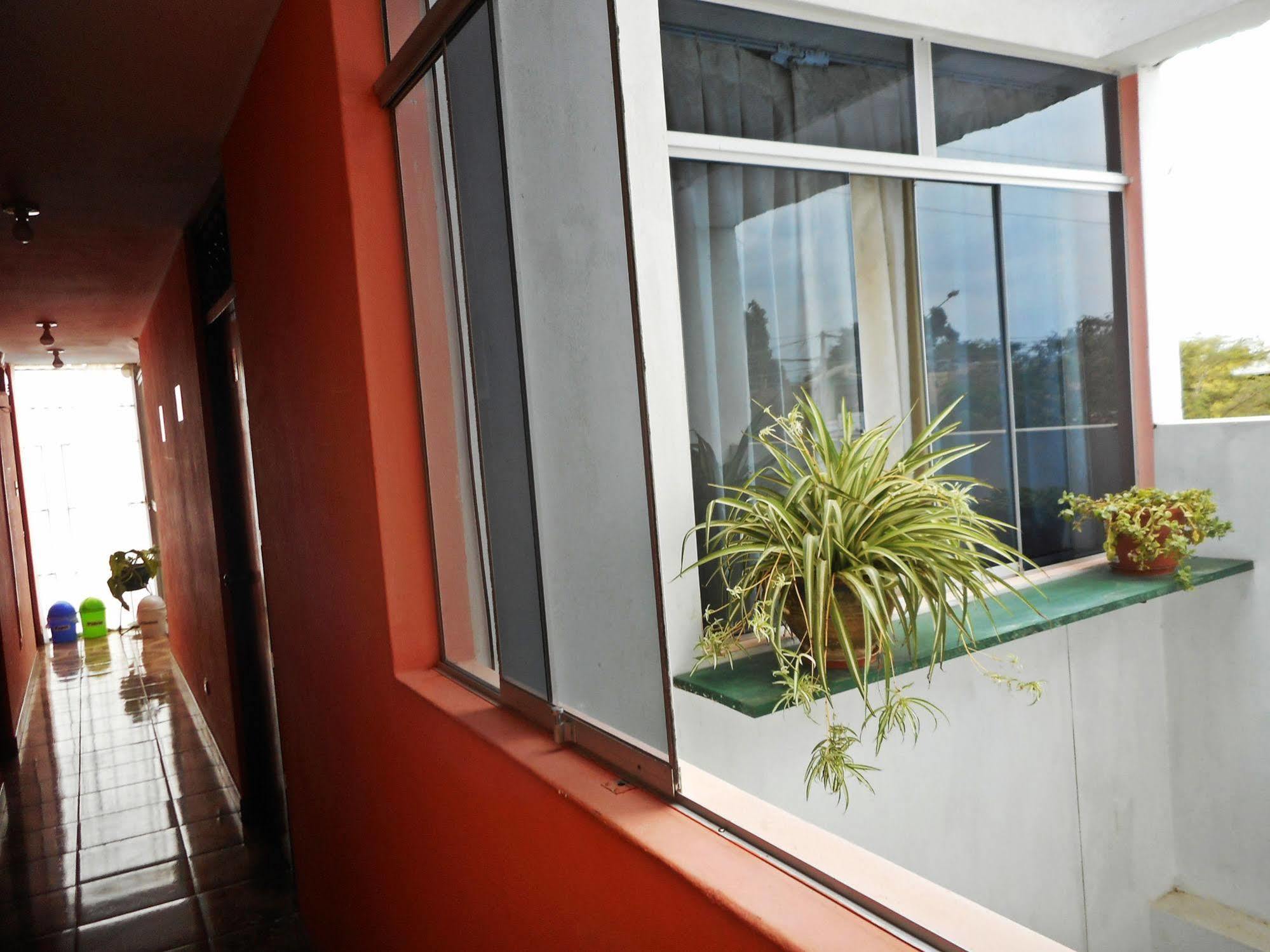 Hostal Geminis San Juan Bautista 外观 照片